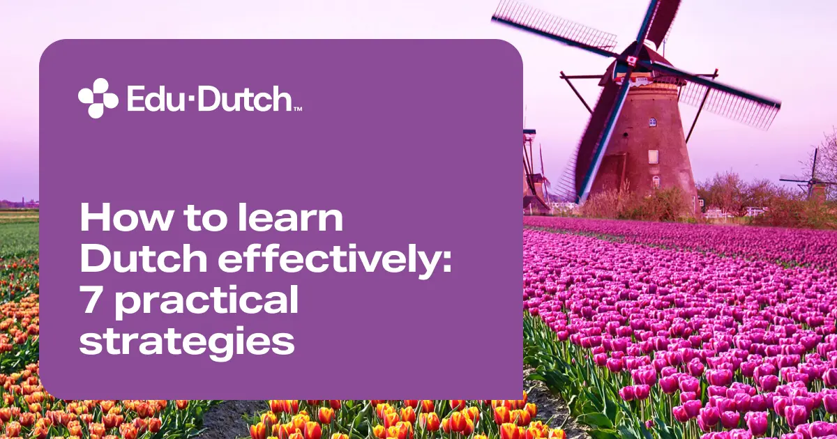 How to learn Dutch effectively: 7 practical strategies